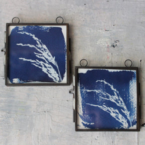 Little Framed Cyanotype Prints - Tribe Castlemaine