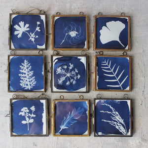 Little Framed Cyanotype Prints - Tribe Castlemaine