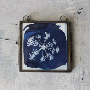 Little Framed Cyanotype Prints - Tribe Castlemaine