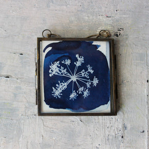 Little Framed Cyanotype Prints - Tribe Castlemaine