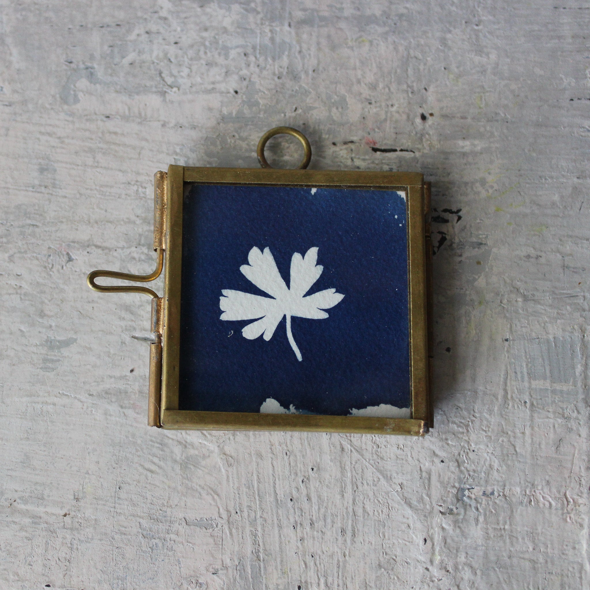 Little Framed Cyanotype Prints - Tribe Castlemaine