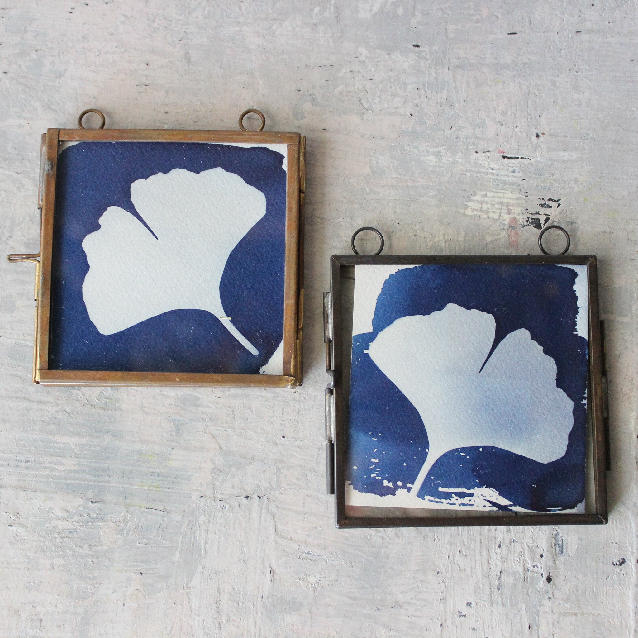 Little Framed Cyanotype Prints - Tribe Castlemaine