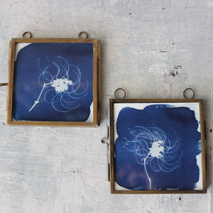 Little Framed Cyanotype Prints - Tribe Castlemaine