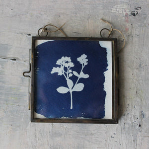 Little Framed Cyanotype Prints - Tribe Castlemaine