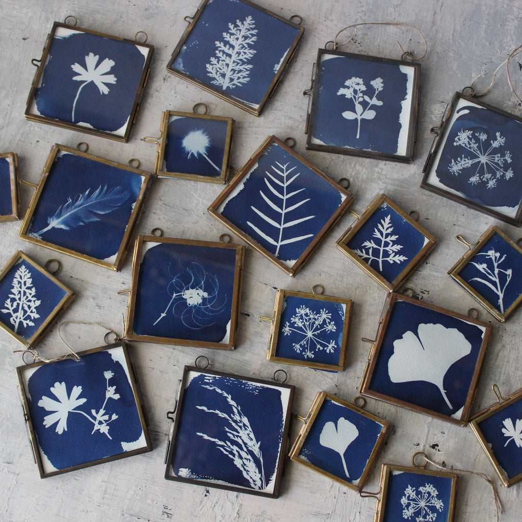 Little Framed Cyanotype Prints - Tribe Castlemaine