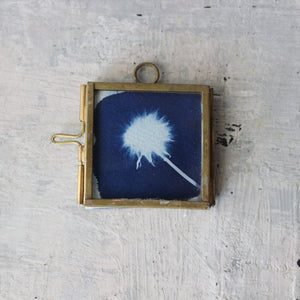 Little Framed Cyanotype Prints - Tribe Castlemaine