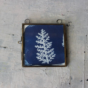 Little Framed Cyanotype Prints - Tribe Castlemaine