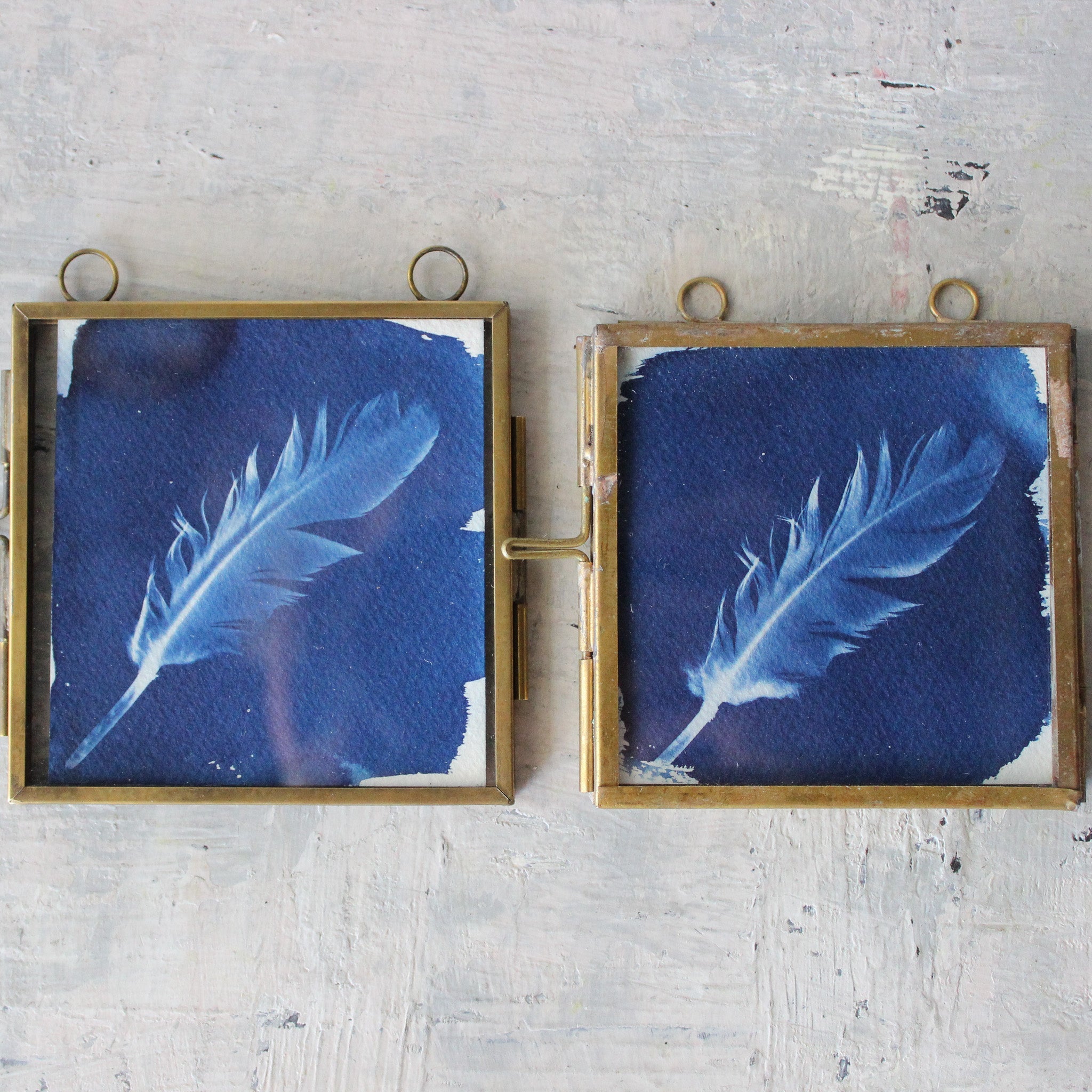 Little Framed Cyanotype Prints - Tribe Castlemaine