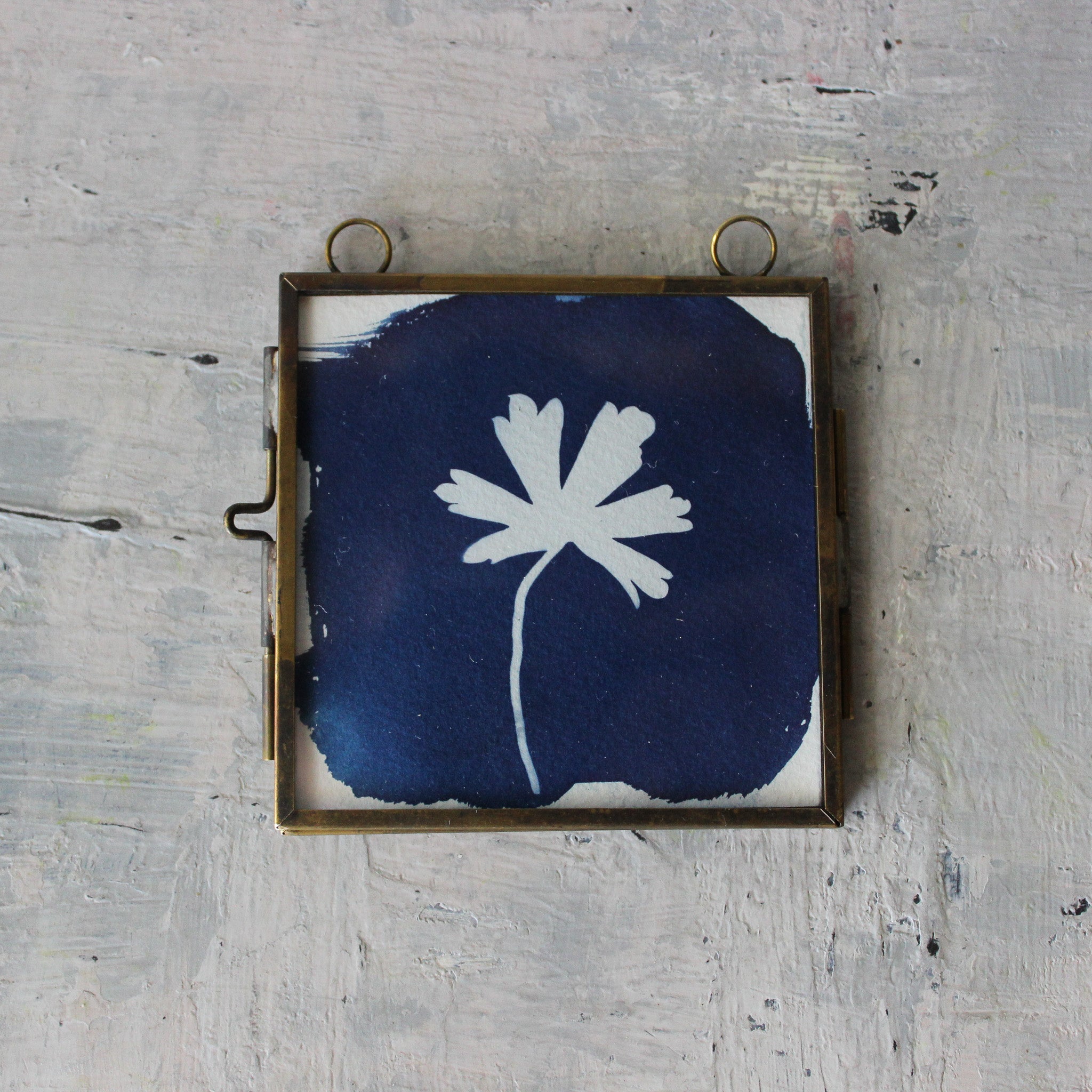 Little Framed Cyanotype Prints - Tribe Castlemaine