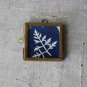 Little Framed Cyanotype Prints - Tribe Castlemaine