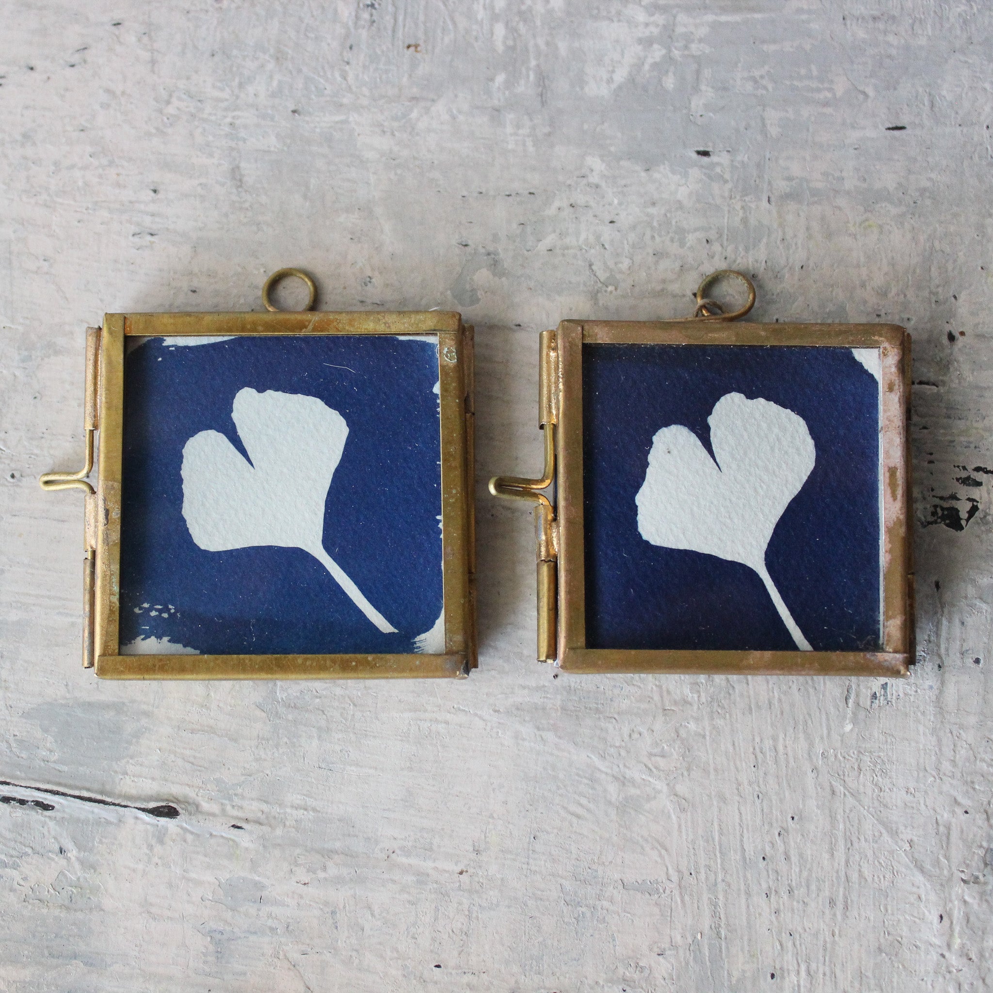 Little Framed Cyanotype Prints - Tribe Castlemaine