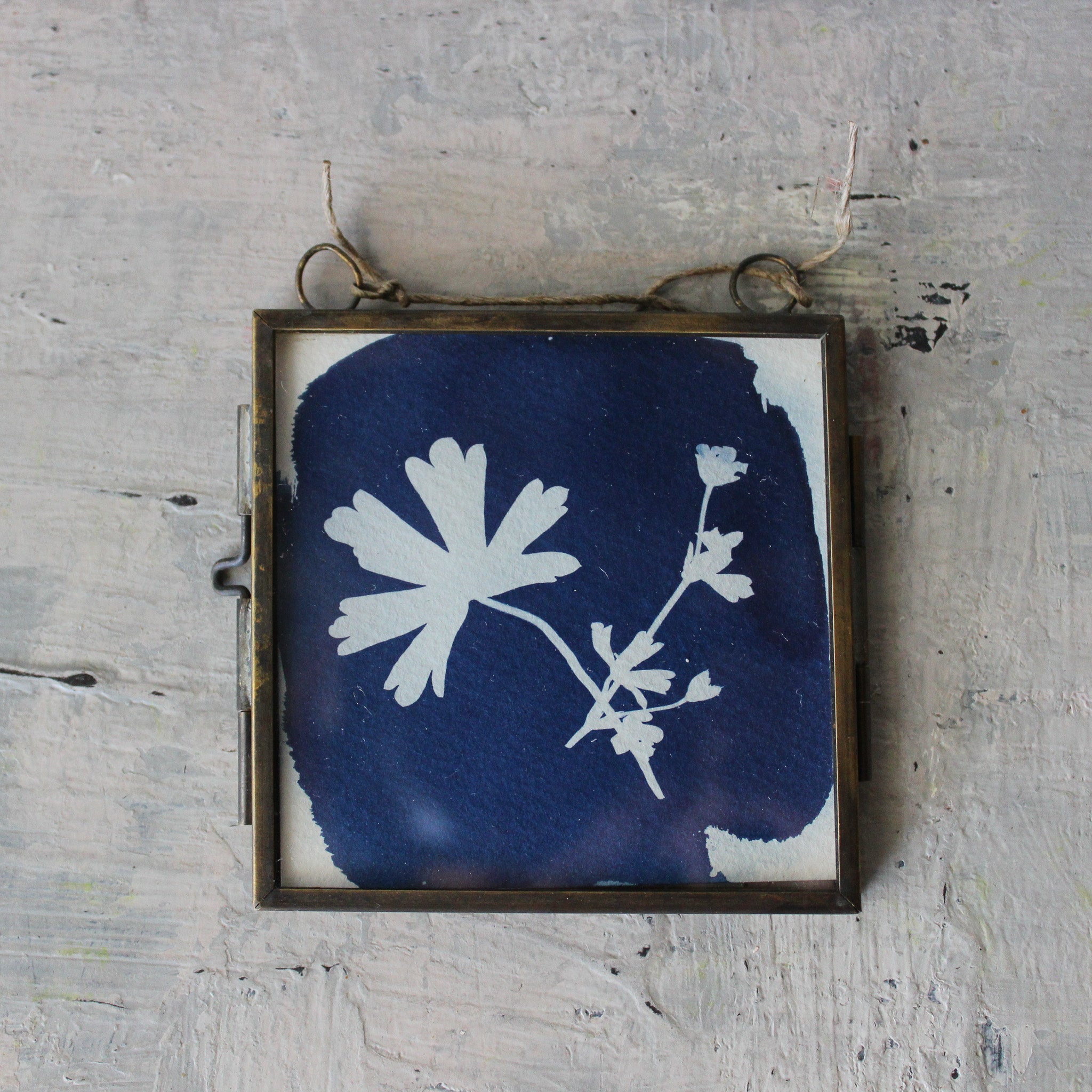 Little Framed Cyanotype Prints - Tribe Castlemaine