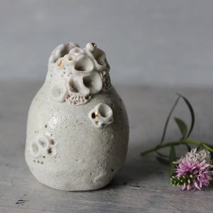 Little Rock Coral Vases - Tribe Castlemaine