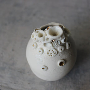 Little Rock Coral Vases - Tribe Castlemaine