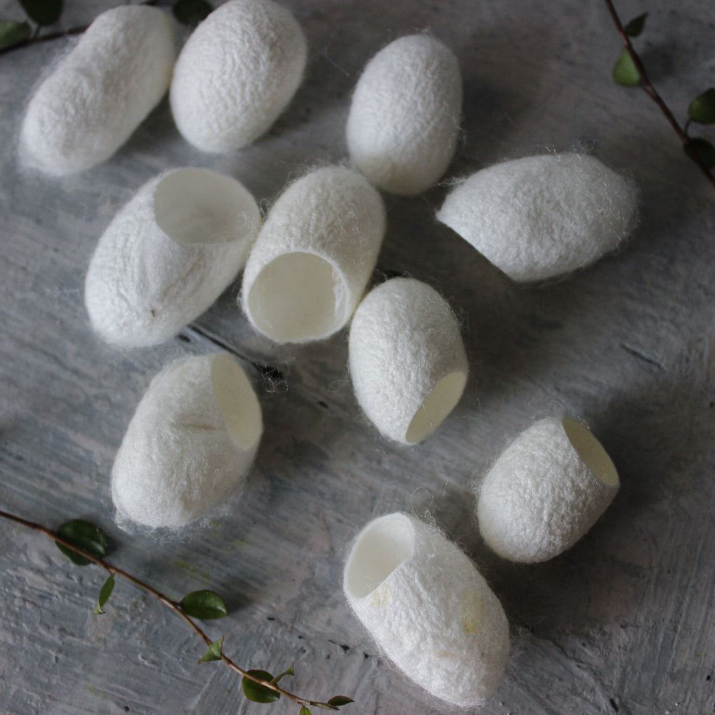 Mulberry Silk Cocoons - Tribe Castlemaine