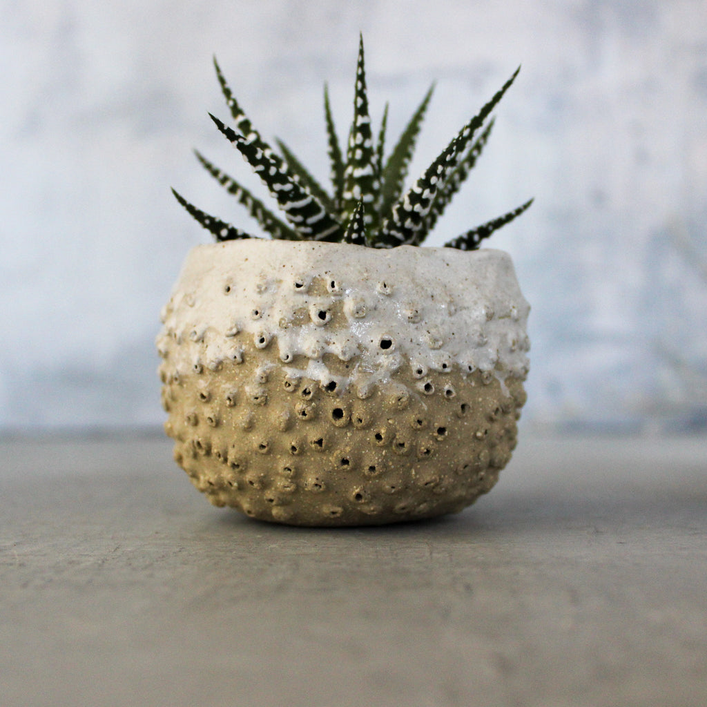 Pierced Ceramic Planters - Tribe Castlemaine