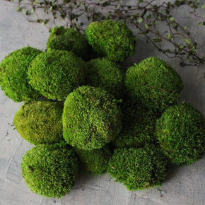 Preserved Ball Moss Stones - Tribe Castlemaine