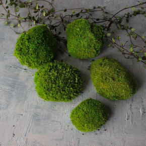 Preserved Ball Moss Stones - Tribe Castlemaine