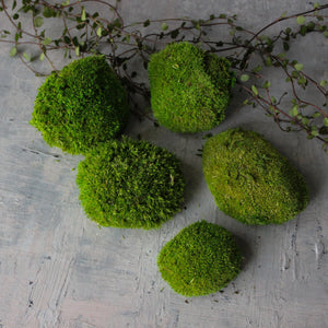 Preserved Ball Moss Stones - Tribe Castlemaine