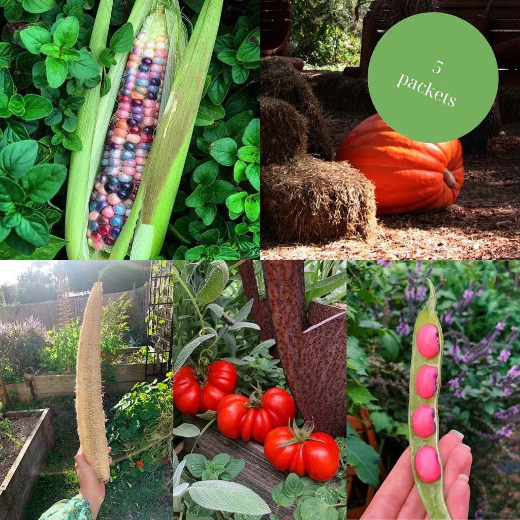 Rare Seed Bundle - Urban Veggie Patch - Tribe Castlemaine