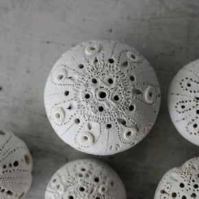 Sea Urchin Incense Holder / Specimen Keepers - Tribe Castlemaine