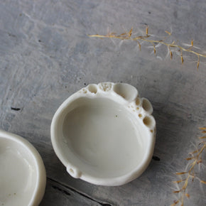 Tiny Rock Coral Trinket Dish - Tribe Castlemaine