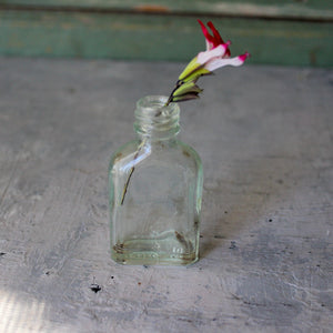 Vintage Little Clear Bottles - Tribe Castlemaine