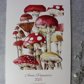 Wall Calendar 2025 Champignons by Anna Pignataro - Tribe Castlemaine