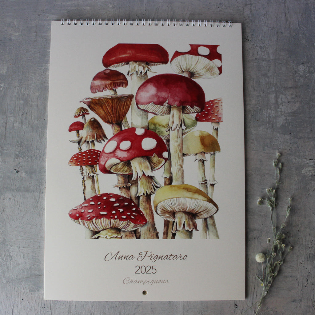 Wall Calendar 2025 Champignons by Anna Pignataro - Tribe Castlemaine