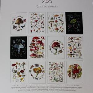 Wall Calendar 2025 Champignons by Anna Pignataro - Tribe Castlemaine