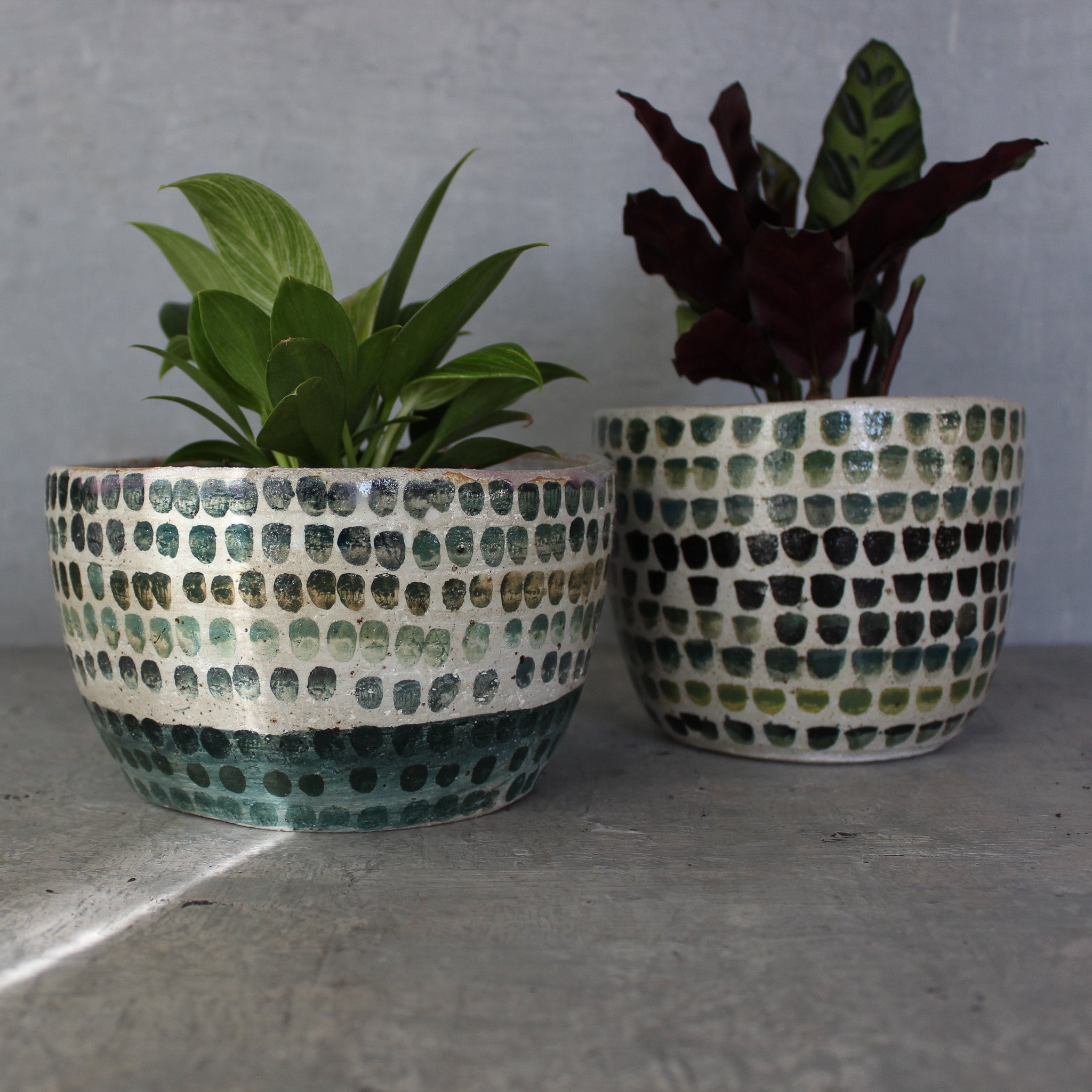 Large Ceramic Planters Dots - Tribe Castlemaine