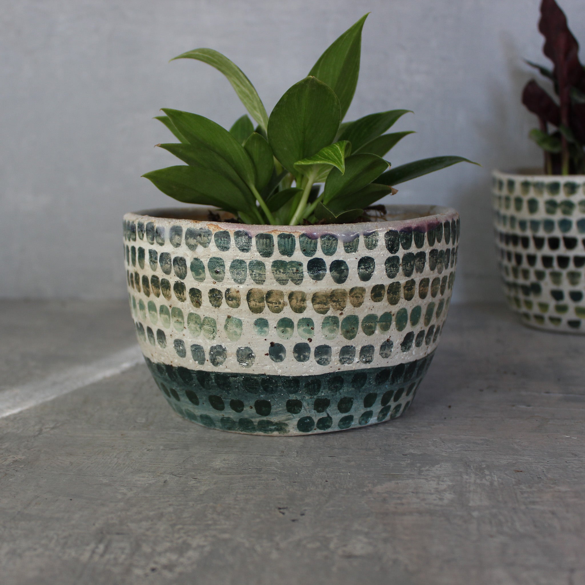 Large Ceramic Planters Dots - Tribe Castlemaine