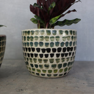 Large Ceramic Planters Dots - Tribe Castlemaine