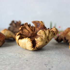 Wood Roses - Tribe Castlemaine