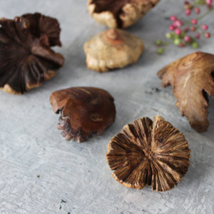 Wood Roses - Tribe Castlemaine